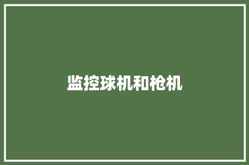 监控球机和枪机