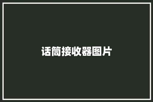 话筒接收器图片 话筒接收器图片 互联通信