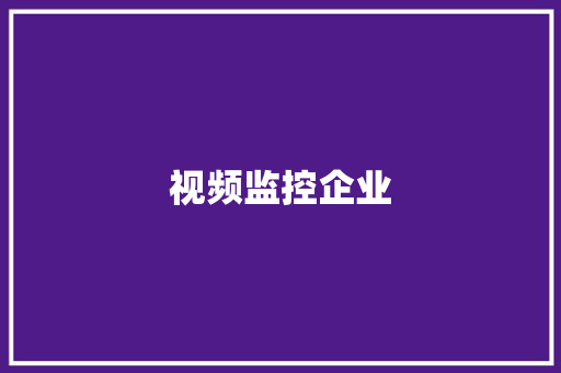 视频监控企业