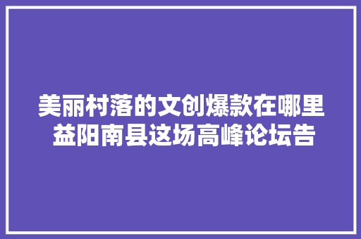 美丽村落的文创爆款在哪里 益阳南县这场高峰论坛告诉你