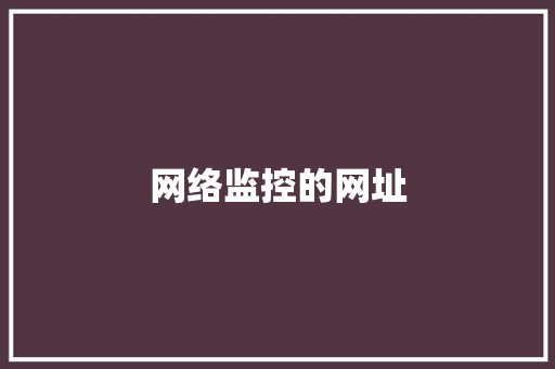 网络监控的网址