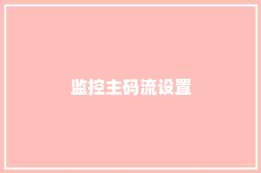 监控主码流设置