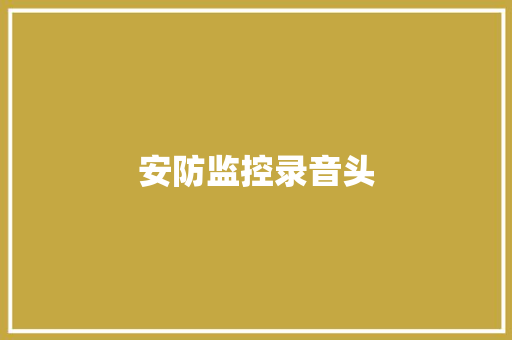 安防监控录音头
