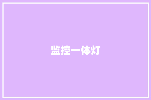 监控一体灯