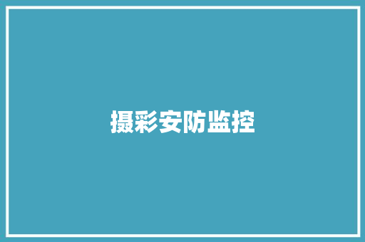 摄彩安防监控 摄彩安防监控 智能家居