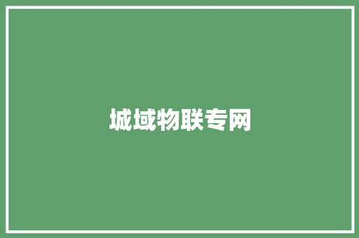 城域物联专网