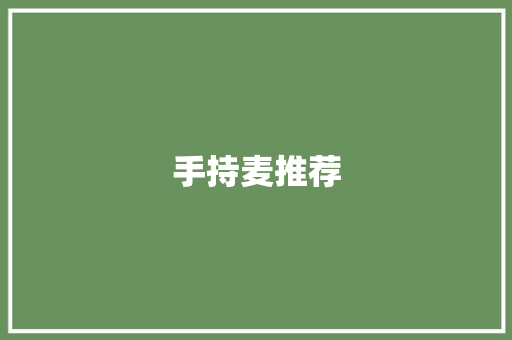 手持麦推荐