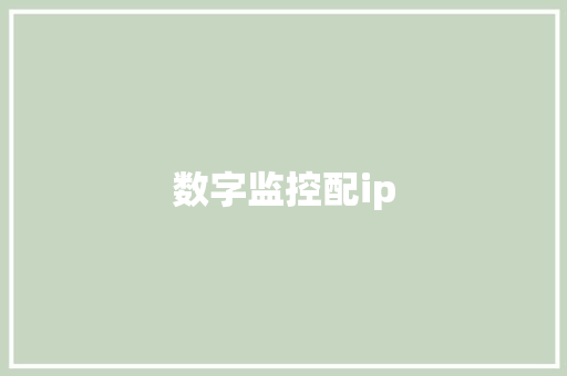 数字监控配ip