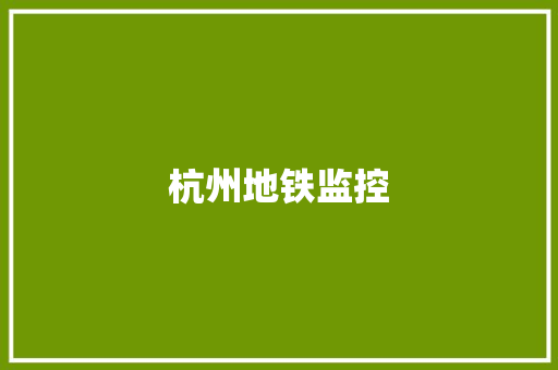 杭州地铁监控,电子眼抓拍的违章几天能查询到。