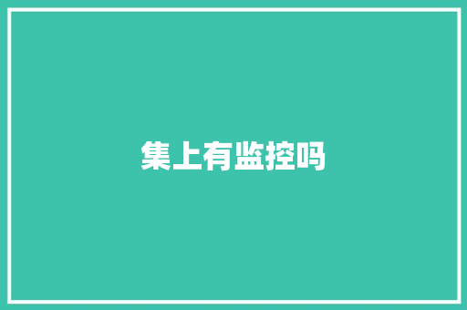 集上有监控吗,大卫科波菲尔。