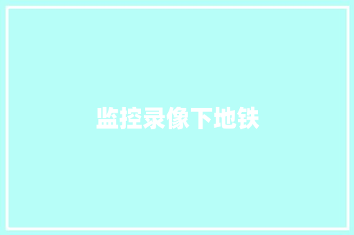监控录像下地铁