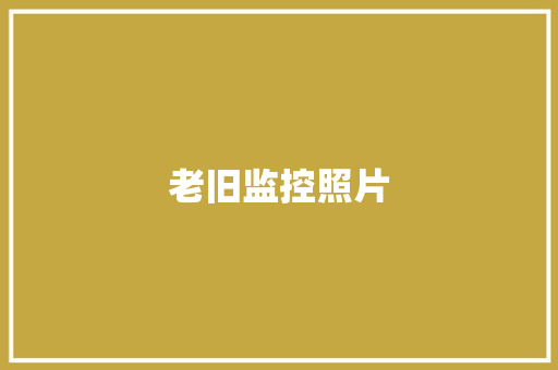 老旧监控照片