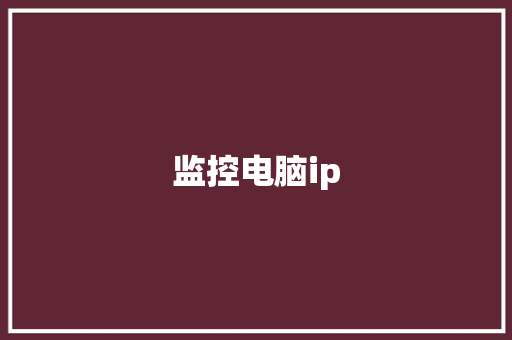 监控电脑ip