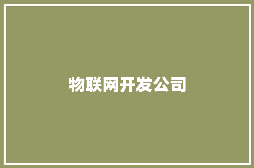 物联网开发公司 物联网开发公司 智能家居