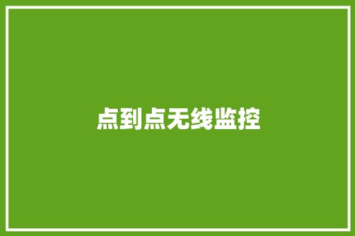 点到点无线监控