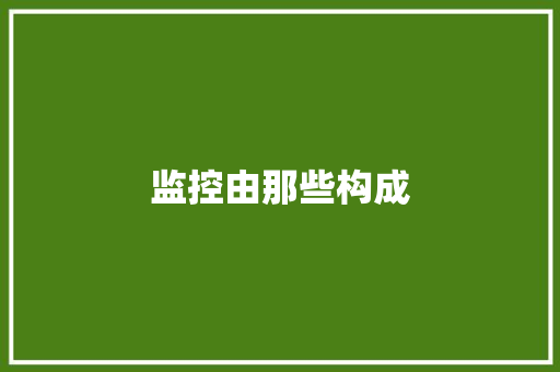 监控由那些构成