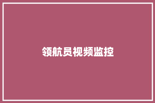 领航员视频监控