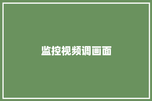 监控视频调画面