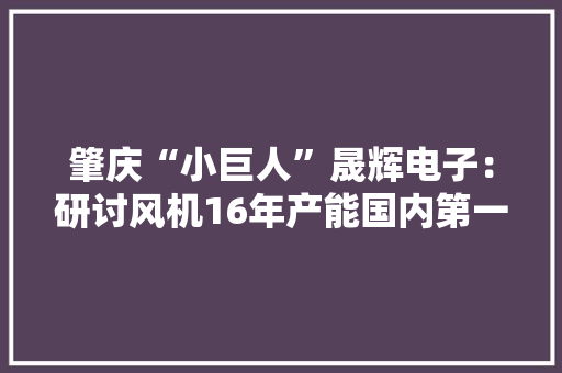 肇庆“小巨人”晟辉电子：研讨风机16年产能国内第一