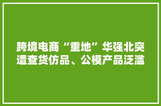 跨境电商“重地”华强北突遭查货仿品、公模产品泛滥