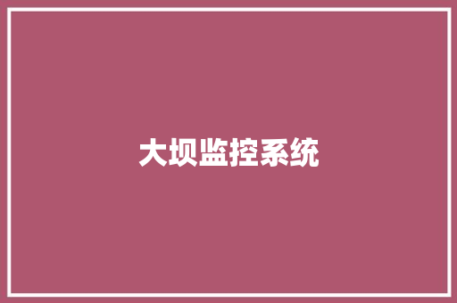 大坝监控系统