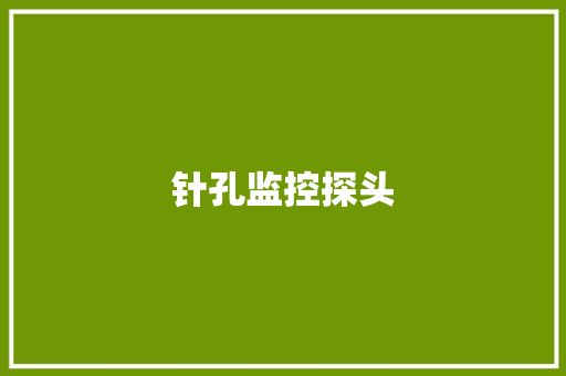 针孔监控探头,针孔录像头在哪里买。