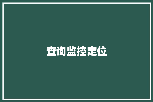 查询监控定位