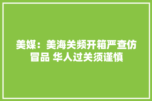 美媒：美海关频开箱严查仿冒品 华人过关须谨慎