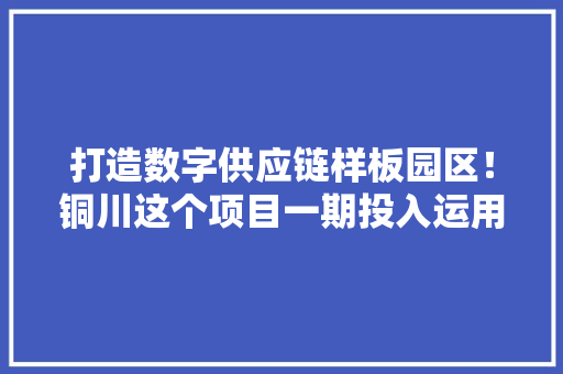 打造数字供应链样板园区！铜川这个项目一期投入运用吸纳劳动力200余人