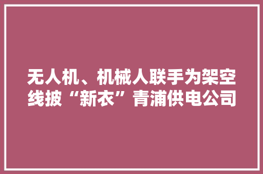 无人机、机械人联手为架空线披“新衣”青浦供电公司开展上海电网首例35千伏线路带电绝缘喷涂功课