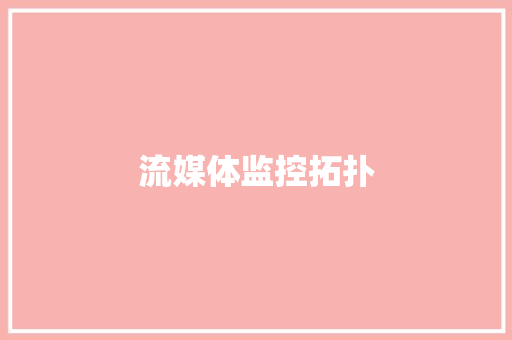 流媒体监控拓扑