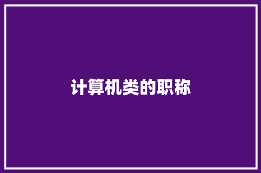 计算机类的职称