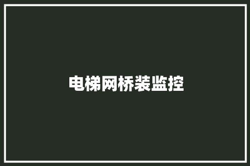 电梯网桥装监控 电梯网桥装监控 智能科技