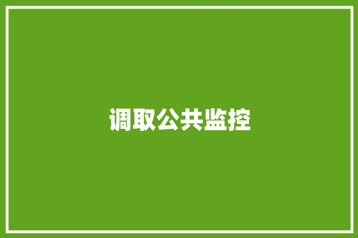 调取公共监控
