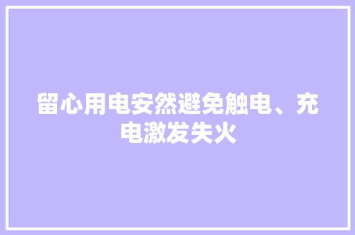 留心用电安然避免触电、充电激发失火