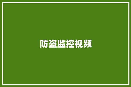防盗监控视频