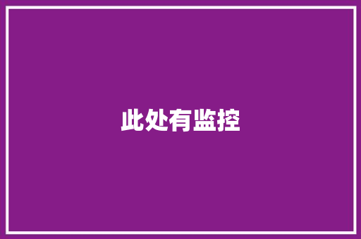 此处有监控 此处有监控 人工智能