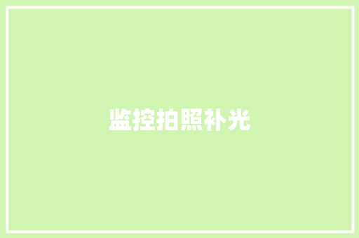 监控拍照补光,监控安装公司。