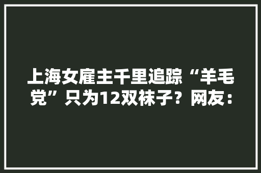 上海女雇主千里追踪“羊毛党”只为12双袜子？网友：该！