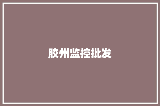 胶州监控批发