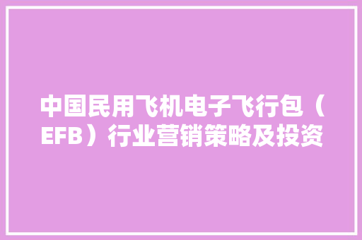 中国民用飞机电子飞行包（EFB）行业营销策略及投资商机分析申报