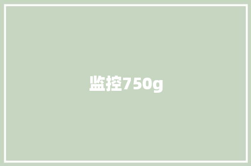 监控750g 监控750g 人工智能