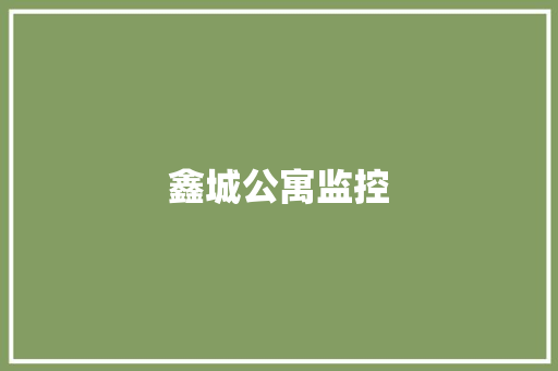 鑫城公寓监控 鑫城公寓监控 智能科技