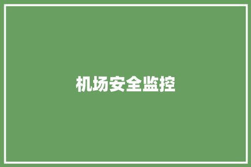 机场安全监控