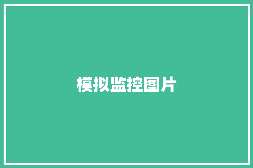 模拟监控图片