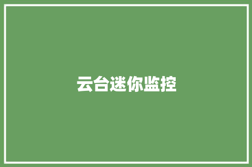 云台迷你监控