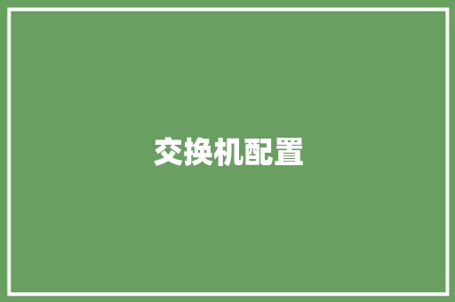 交换机配置
