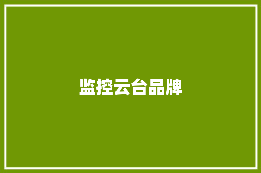 监控云台品牌 监控云台品牌 人工智能
