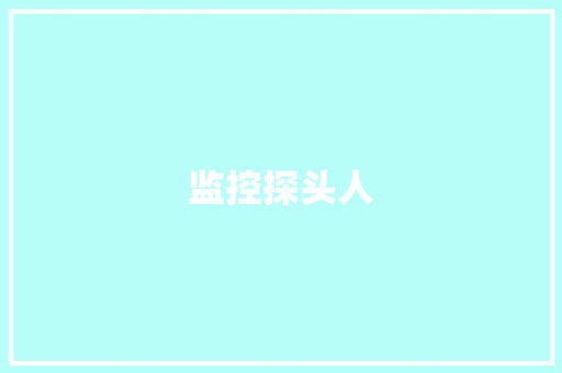 监控探头人