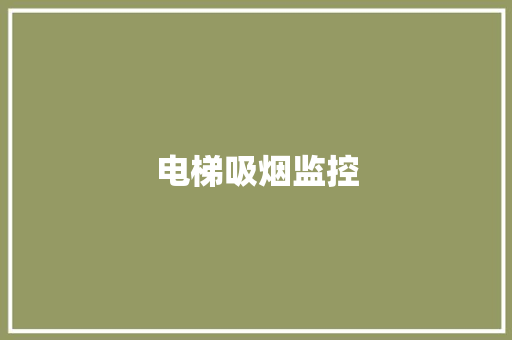 电梯吸烟监控 电梯吸烟监控 智能科技